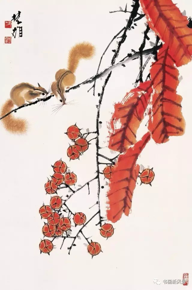 方楚雄|看他画的小松鼠，绝对是一种享受！