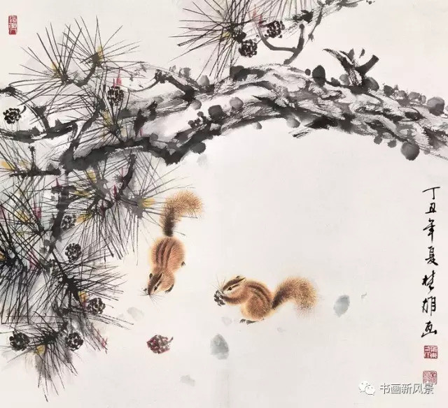 方楚雄|看他画的小松鼠，绝对是一种享受！