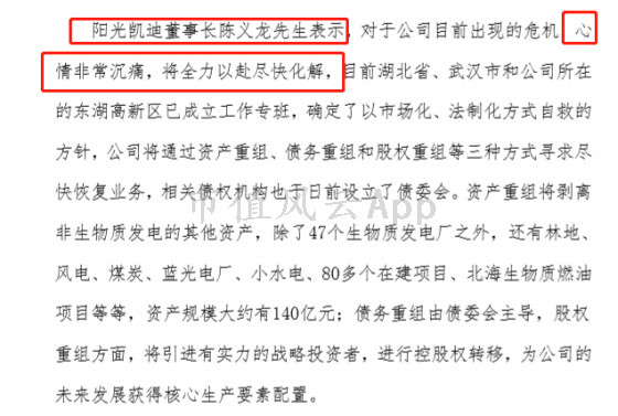 连载故事3 :凯迪生态重组乱象