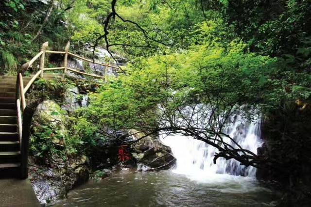 广东韶关南华寺的慧能大师真是肉身不坏之身吗