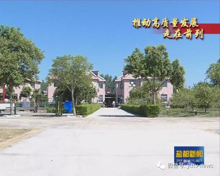 养老服务 我区着力推动养老服务高质量发展