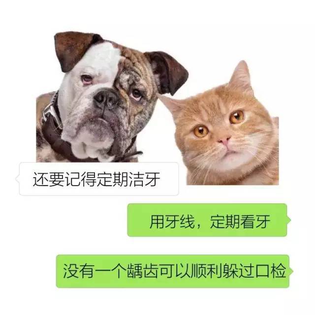 去医院补牙,怎么医生把牙洞越磨越大?