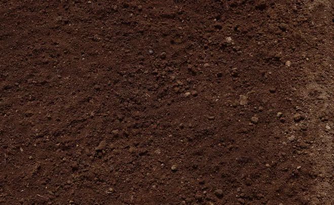 别着急,我们教你看这10点就知道!