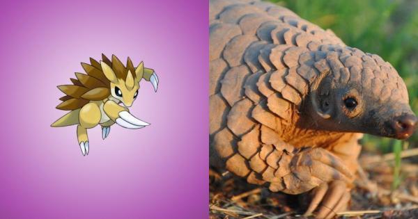 对呀,穿山甲就是穿山王的原型.