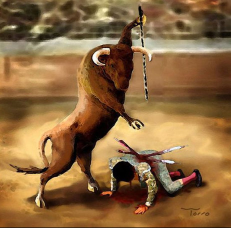 当动物虐待人类七张图看哭网友内容触目惊心