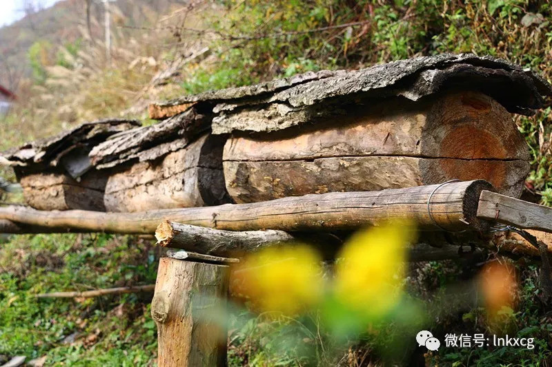 康县2018年新建美丽乡村成果展示之城关镇