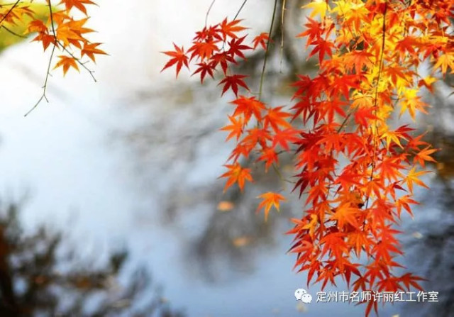 于细微处见精神-写作背景导入教学设计之我见