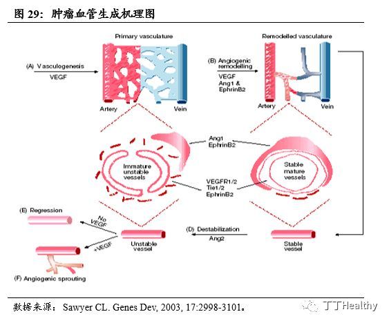 重磅深度:肿瘤靶向药物--倍道而进、百舸争流
