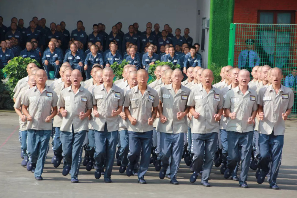 系列报道|田沟监狱扎实推进五大改造新格局