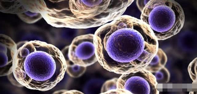 为什么有些癌症不能治愈?