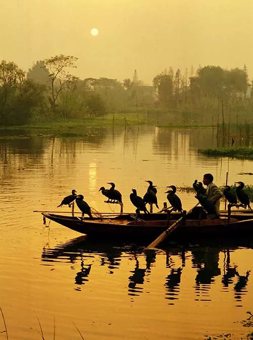 栟茶,一座醉美江南的千年古镇!