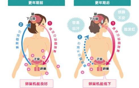 更年期的心理问题是由哪些生理上的变化导致的