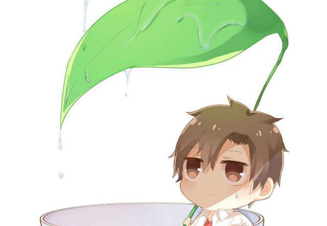 好看的耽美文推荐,安利四本耽美甜文!