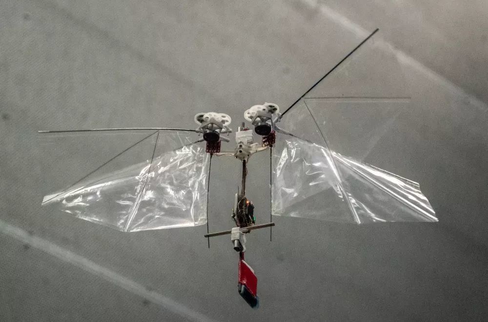 微型飞行器实验室(mavlab)研究人员研发了一种模仿昆虫飞行的新型飞行