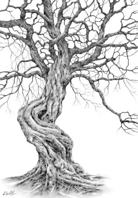 素描树林的简单画法图片