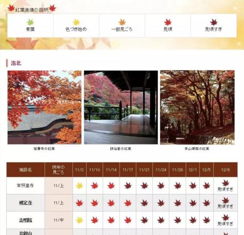 京都红叶季赏枫与搭乘岚山小火车超详细攻略