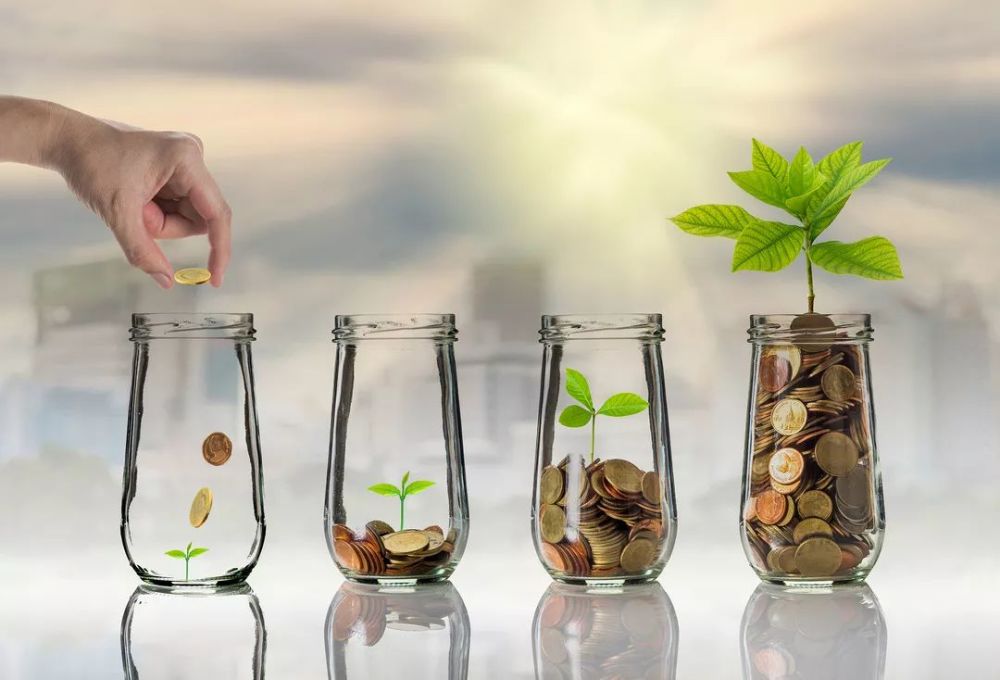 理财教育,校内培育滞后,校外素质教育模式单一