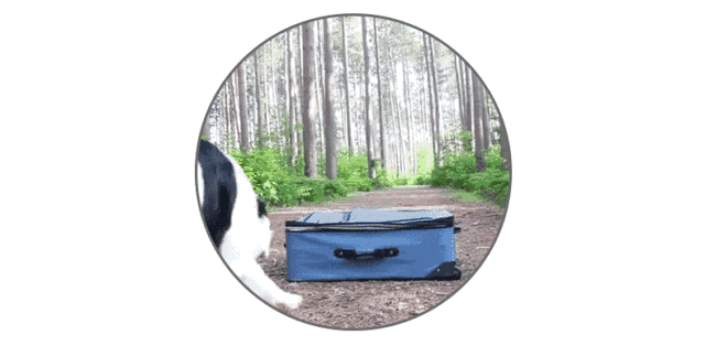 风里雨里,黑导游在各地等你