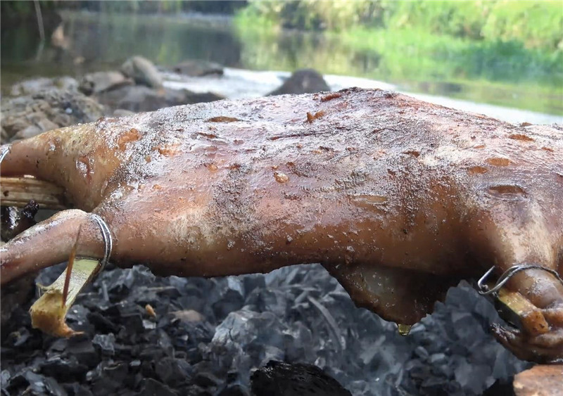 华农兄弟和竹鼠这么火,全中国都知道竹鼠好吃