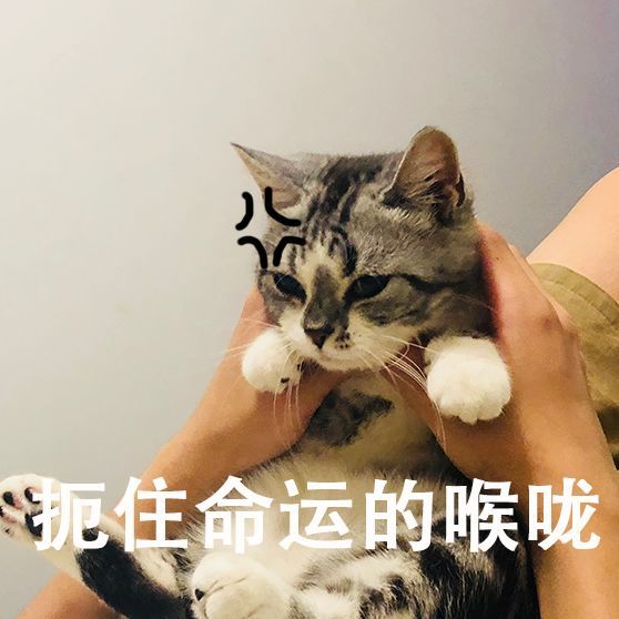 你说:吃药药.主子说:不吃药药!请收下份喂药终极宝典!