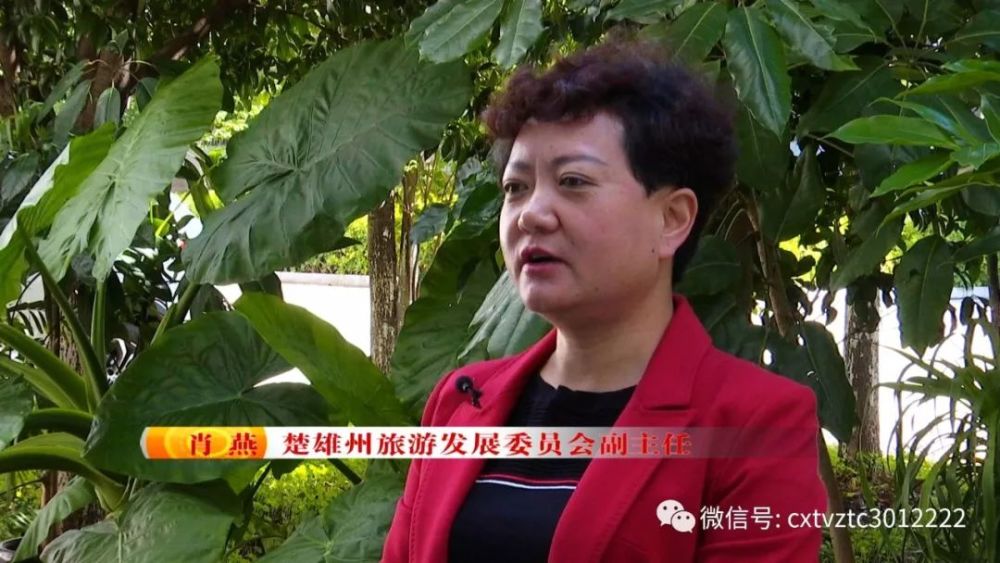 一部手机游云南助力旅游业发展