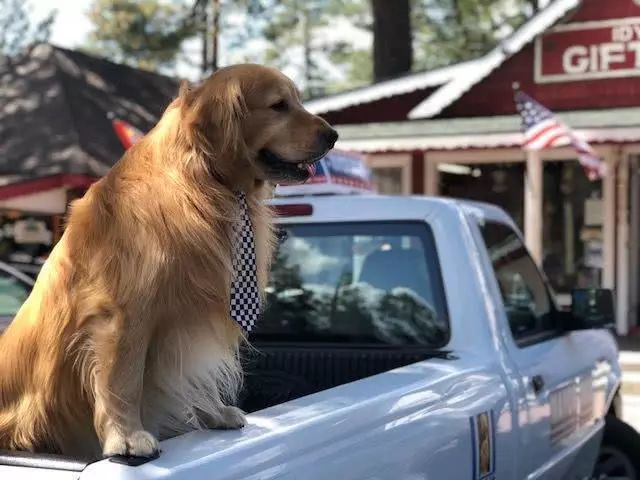 腾讯内容开放平台