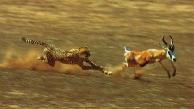 新财富十五年卖方小史:眼看它起高楼、宴宾客