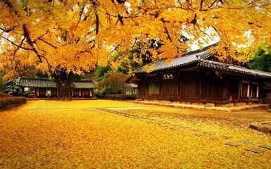 2019年国家自然科学基金最新政策及申请指南