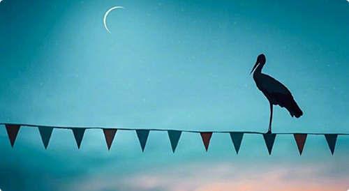 遭遇高铁霸座之事,该如何处理?坚持一个原则