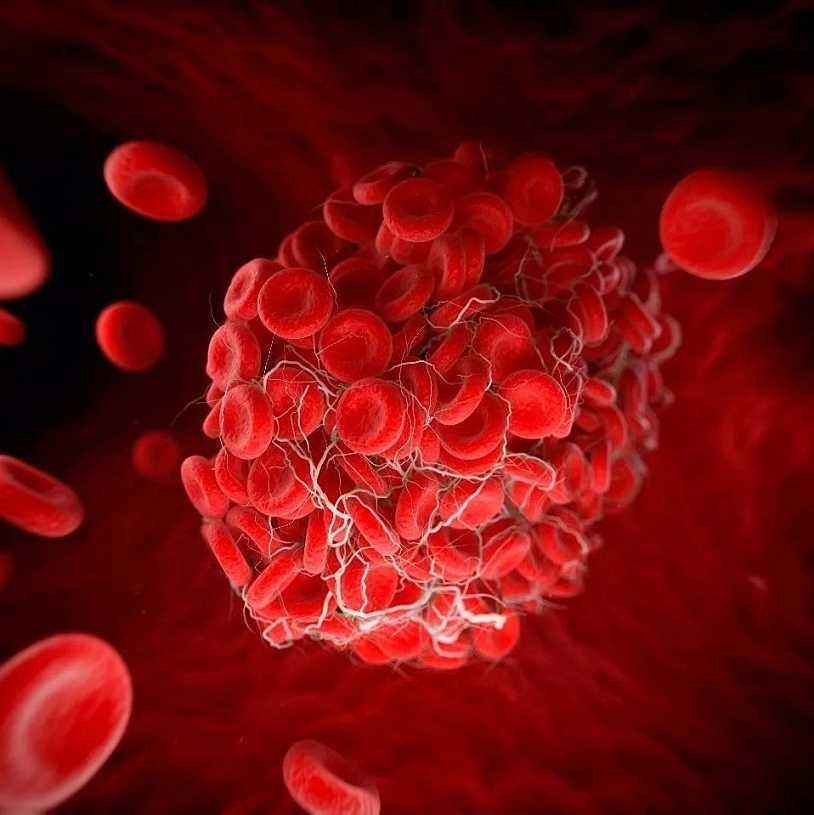 秋天血栓高发 天津人多吃它 软化血管 活血散淤