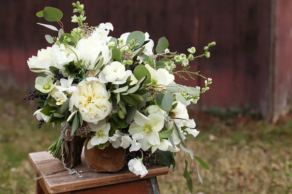 尤加利手捧花图集送给准备婚礼的姑娘