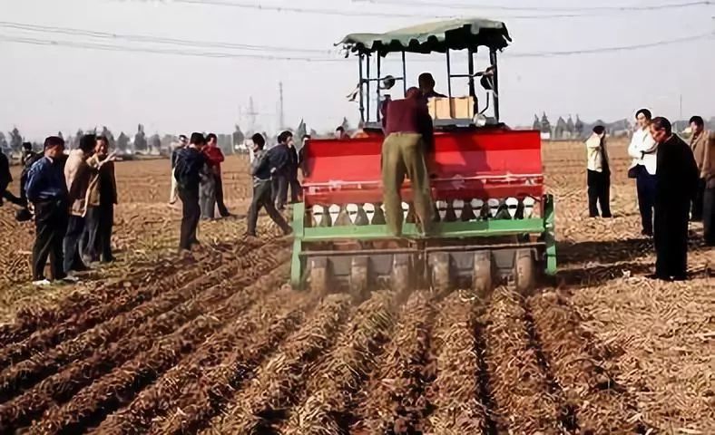 冬小麦|小麦播种后几天出苗？出苗时间过晚怎么办？快来看答案！