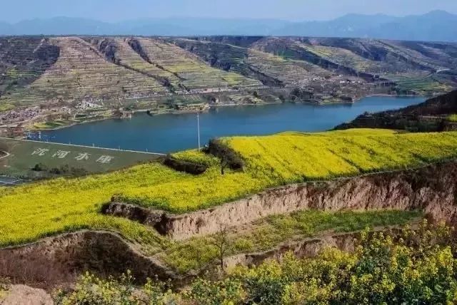 渭南文壇尤禮沋河川