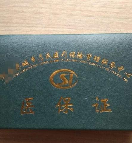 2019年的新农合每人220元,相当于一年的农作