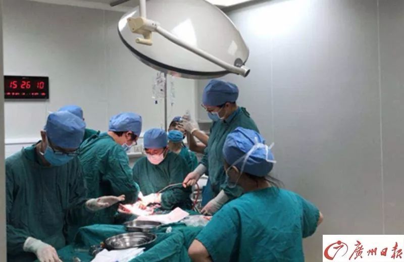 警惕!姑娘怀孕8个多月,结果胎死腹中