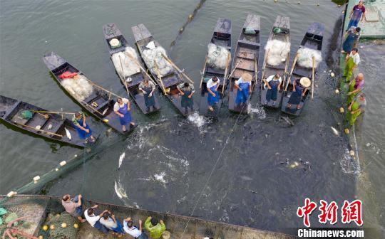 看天下:江西仙女湖:巨网秋捕鱼满仓_大湘网_腾讯网