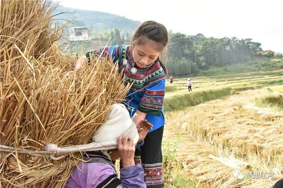 田棚哈尼人的另一个家