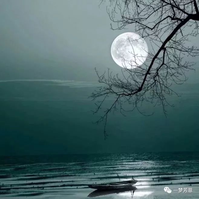 一梦芳菲那晚带泪的星星在眨眼