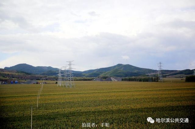 哈佳动车初体验