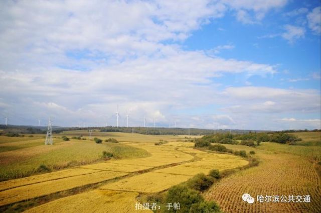 哈佳动车初体验