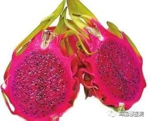 为什么吃了红心火龙果会便血?原因竟是这样!