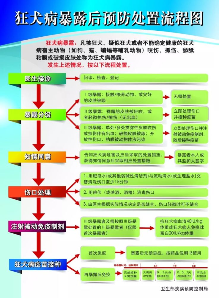 被狗咬伤后伤口怎么处理?先用肥皂水和流动清