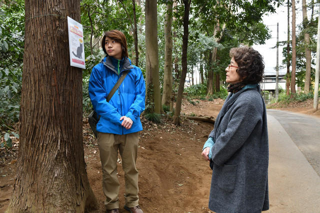 (第一行从左至右)佐藤流司,小林且弥,小市慢太郎,西田尚美.