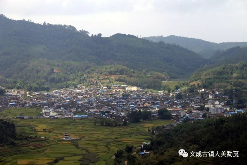 芒市这些乡镇和村入选省级卫生乡镇和卫生村