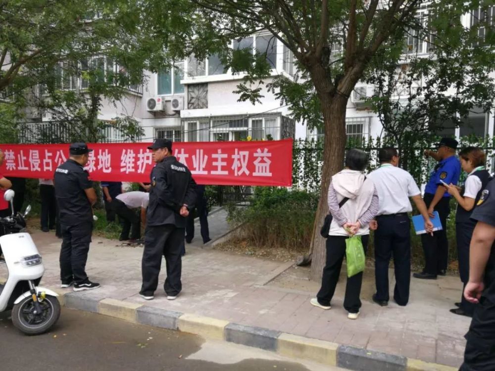 小區綠地遭破壞 城管助力恢復原狀