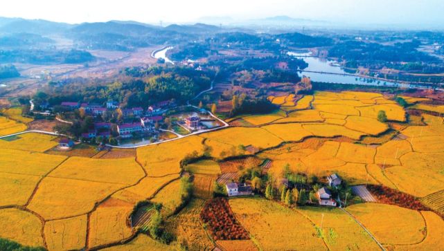 乡村振兴战略规划 提出 重塑城乡关系 究竟意味着什么
