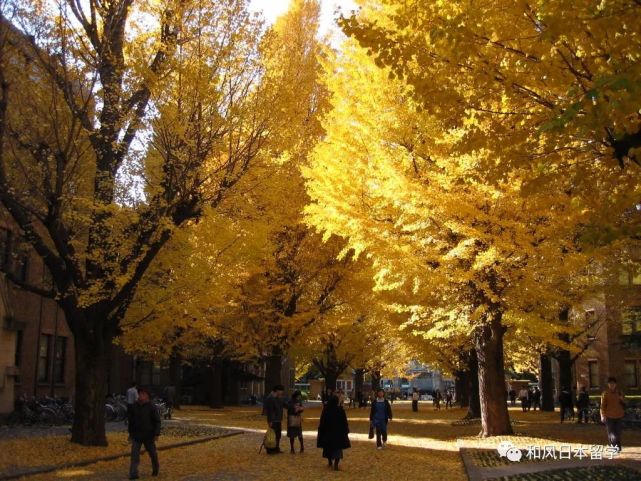 去日本留学要花多少钱 国公私立大学的平均学费揭秘