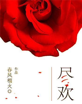 三本男主是警察的言情小说 精彩纷呈 看过第一本的都是老书虫