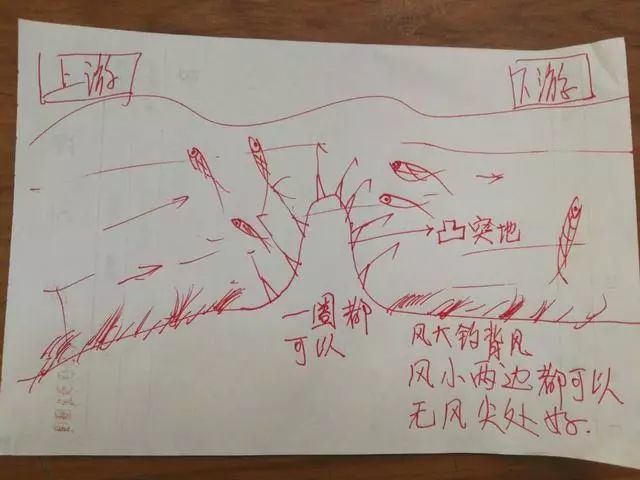 回水湾鱼窝7大精华鱼窝,善加运用变化无穷,但是实战中是有规律可以寻