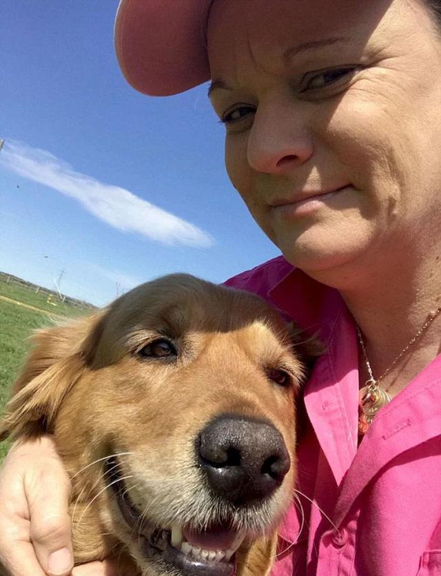 超暖金毛母性大发挽救了一只小考拉的生命,网友:它是我们的英雄